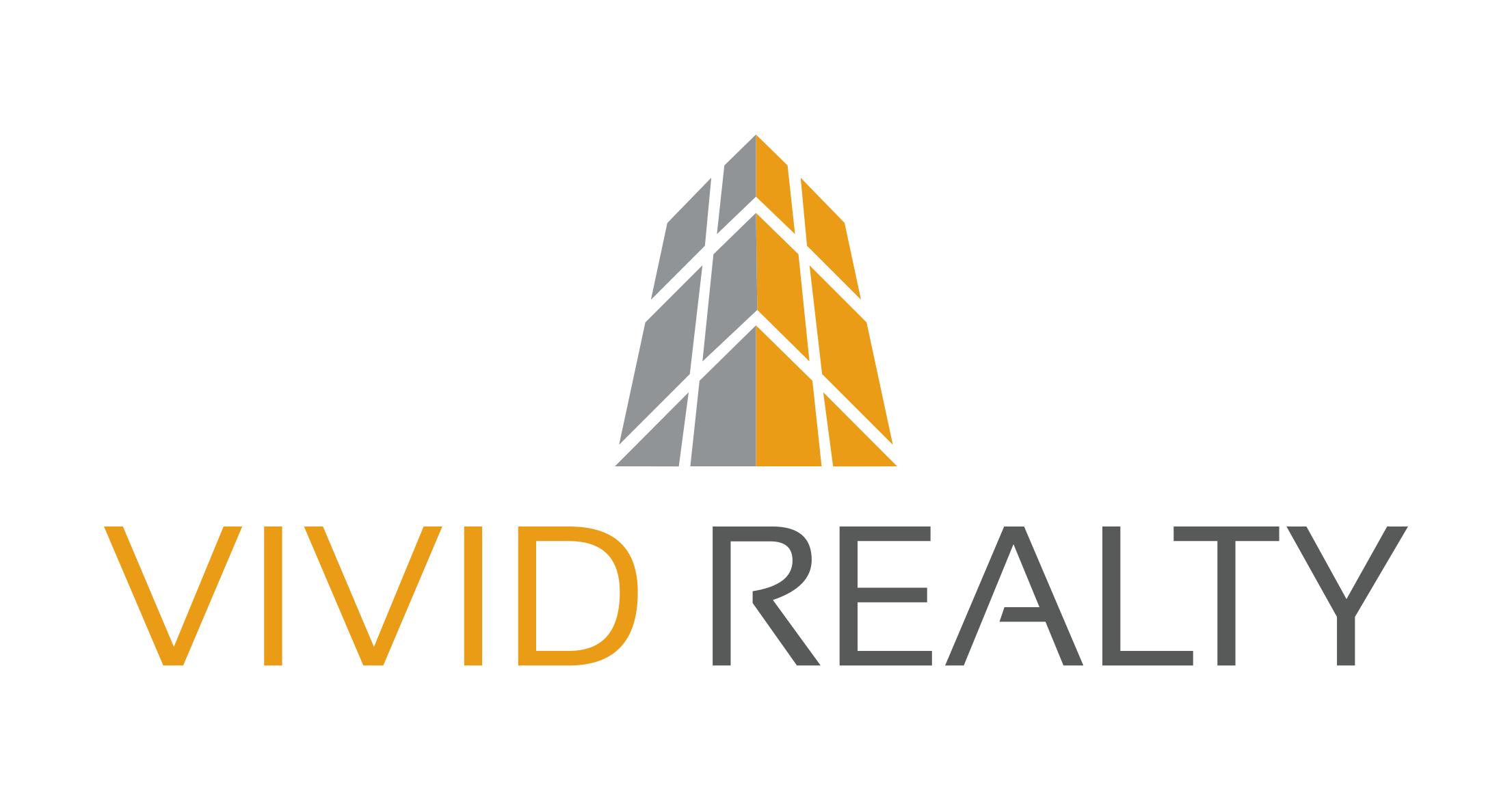 vivid realty